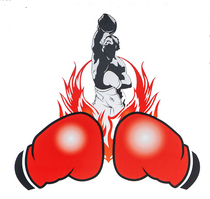 LOCHABER PHOENIX BOXING CLUB SCIO